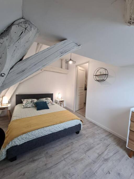 Centre Ville 3 Pieces Envoutant Sous Combles 40M² Жоани Екстериор снимка